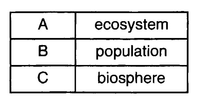 3. The chart below shows three ecological terms used to describe levels of organization on Earth. Which diagram best represents the relationship of these ecological terms? A) B) C) D) 4.