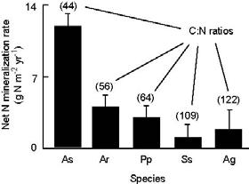 Species effects on nitrogen