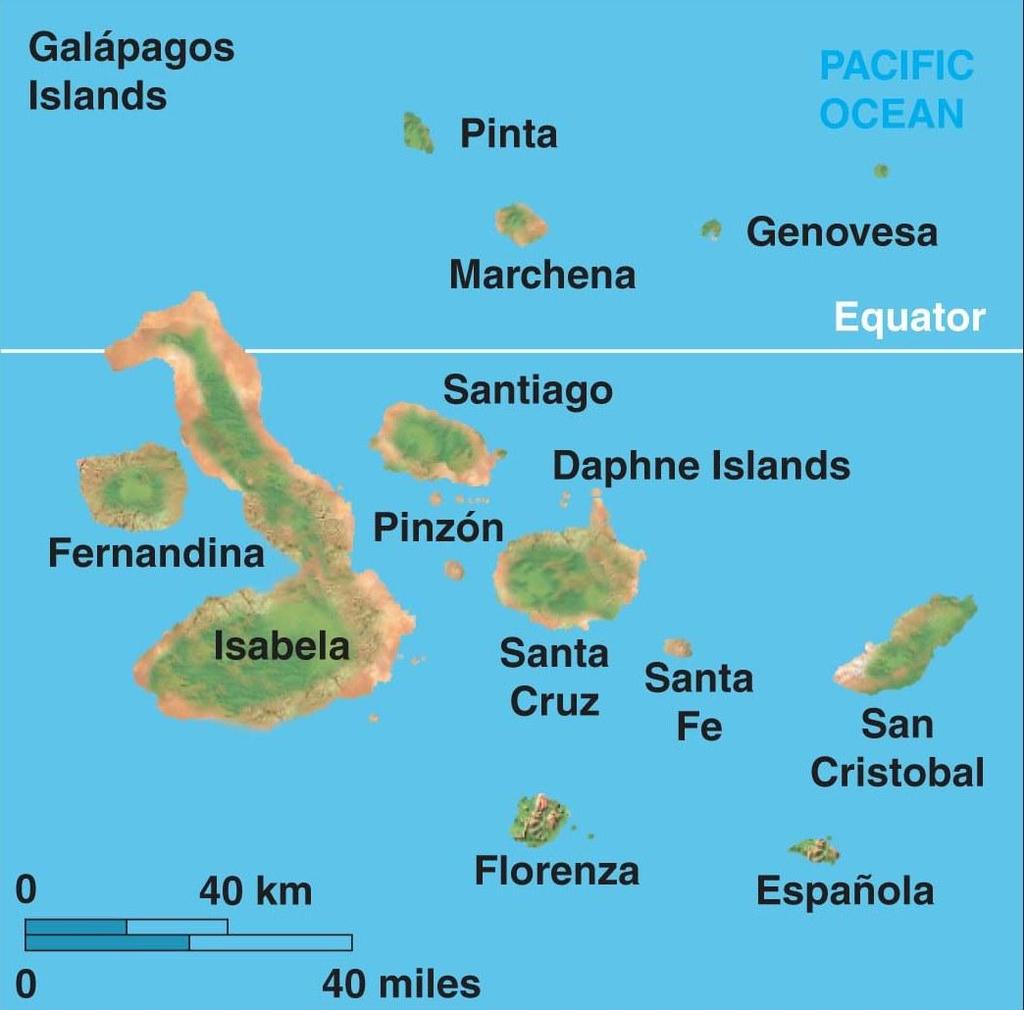 Natural Selection Galapagos Islands were similar in climate and topography to the Cape Verde islands
