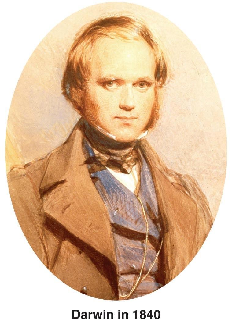 Natural Selection Charles Darwin (1809-1882) Age 22 became naturalist for HMS Beagle (1831-1836) Was