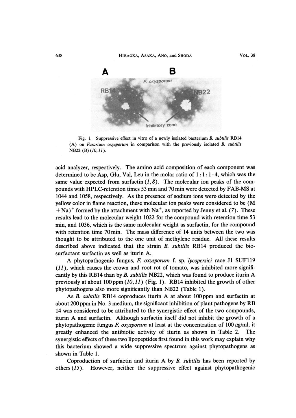 638 HIRAOKA, ASAKA, ANO, and SHODA VOL. 38 Fig. 1. Suppressive effect in vitro of a newly isolated bacterium B. subtilis RB 14 (A) on Fusarium oxysporum in comparison with the previously isolated B.