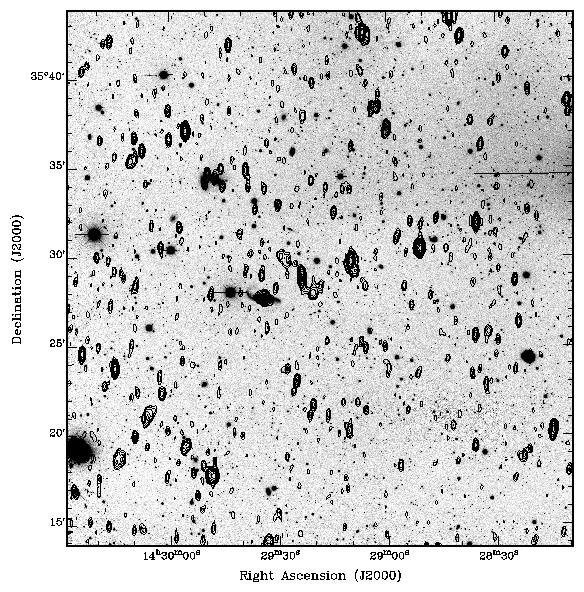 Deep Wide-Field Surveys 5 Figure 1. Stokes I emission at 1.