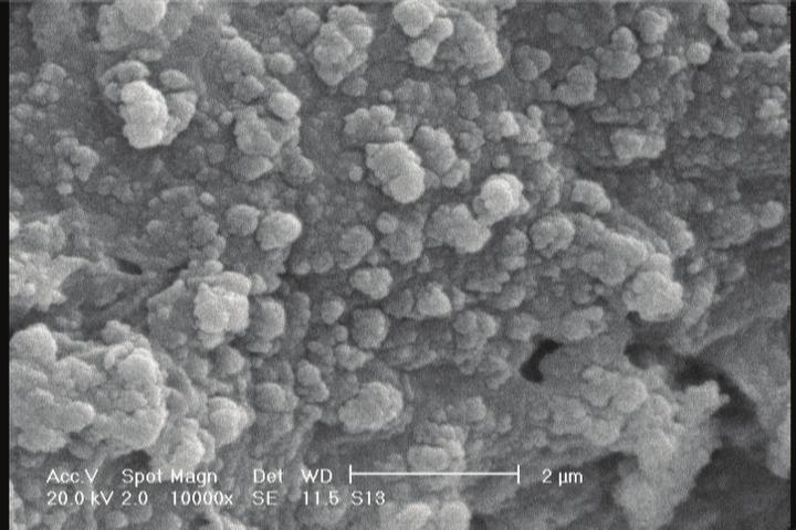 Arrangement of Monomer Injection in the Characteristics of Copolymer 159 Figure 3: Scanning electron micrograph of PPy/PVAc in aqueous/nonaqueous media.