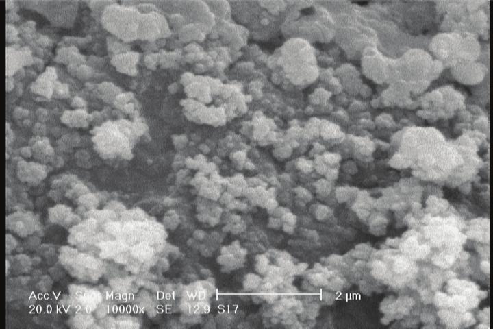 44 10 2 mol/l, volume of solution 100 ml (water/toluene, 75/25 % v/v), reaction time 5 hours at room temperature, when pyrrole monomer was injected first) Figure 4: Scanning electron micrograph of