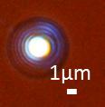 images of 2-nm-diameter Au