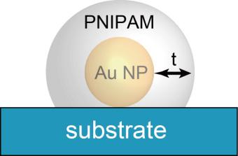 S6. FEM-based simulation of the LSPR scattering spectra for 1-nm-diameter Au NP core PNIPAM shell structure supported on a sapphire substrate.
