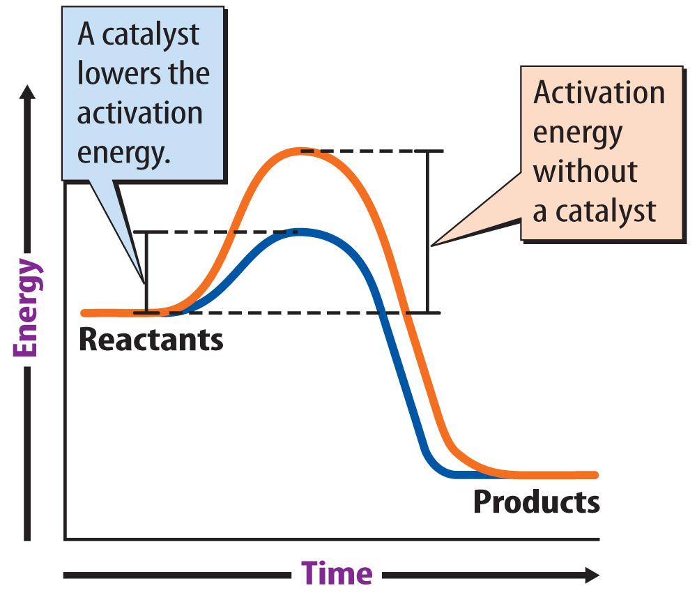 A catalyst is a substance that increases reaction rate by lowering the activation energy