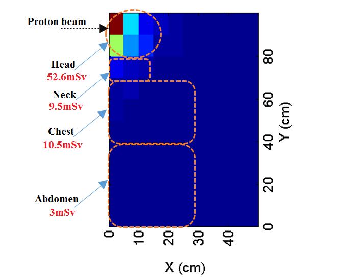Chapter 4: MC simulations and measurements during proton irradiation at Clatterbridge Hospital Figure 97: MC simulation results of the localised neutron equivalent dose at the head, neck, chest and