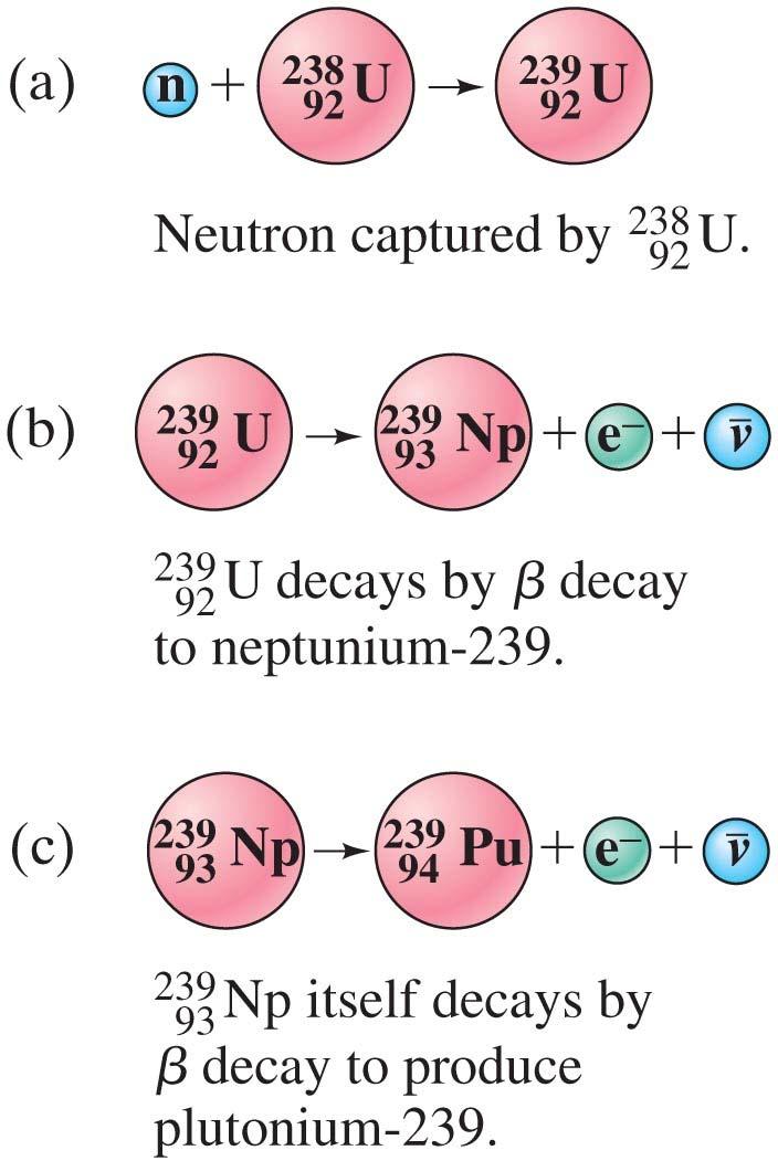 Nuclear Reactions and the Transmutation of Elements Neutrons are very effective in nuclear reactions, as they have