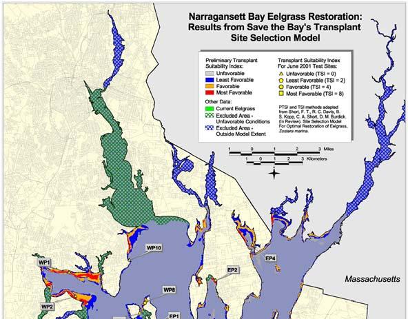Restoration Eelgrass Suitability Mapping: Critical Variables