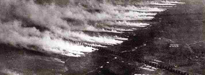 Chemical Weapons gas attack during World War I, 190,000 tons of Gas