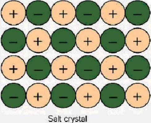 Ionic compounds are the combination of cations and anions. In table salt, sodium chloride, sodium is the cation (Na + ) and chloride is the anion (Cl - ).