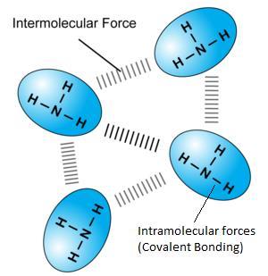 together not bonds within a molecule are