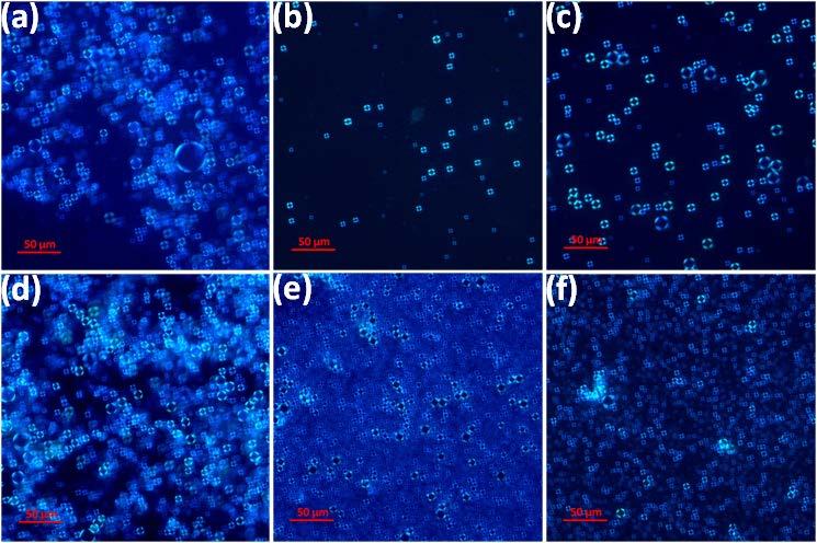 Fig. 4 POM images of GO microcapsules in Pickering emulsions preparation at different ph values: (a) ph = 2, (b) ph = 8, (c) ph = 12.