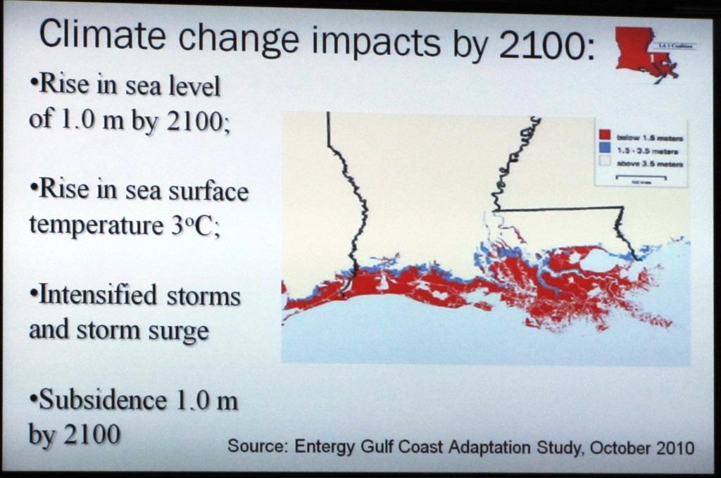 Private sector leaders are reacting to sea level rise, intense storms and land subsidence.