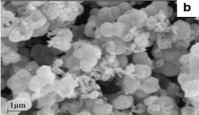 mole ratio, i.e. 2:1. The SEM image in Fig. 3a shows that CdS powders obtained with TGA (0.