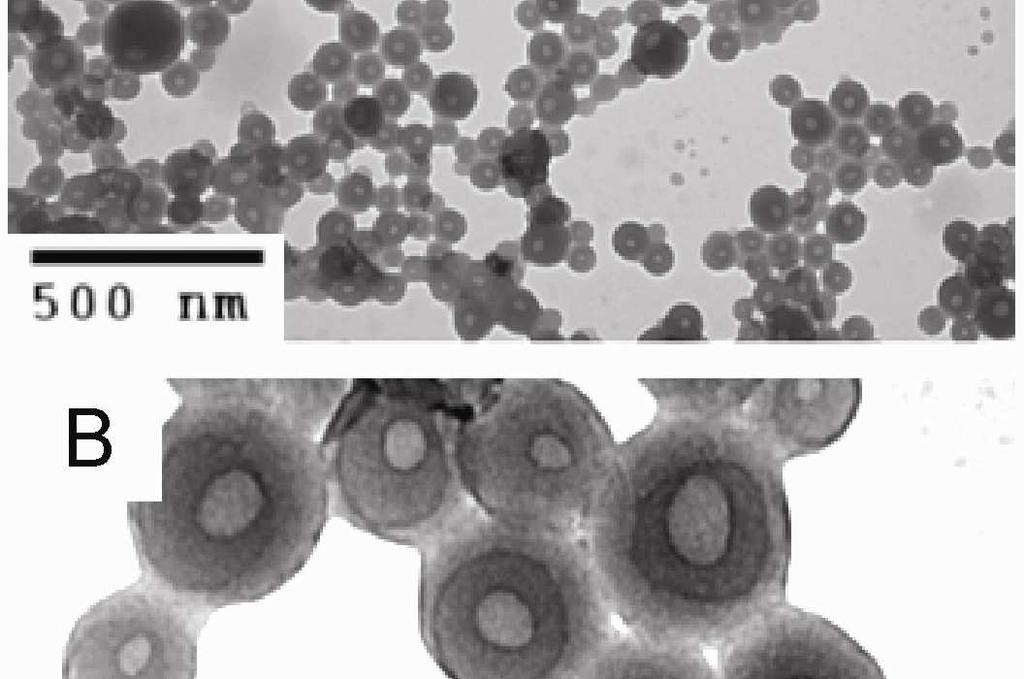 SM-NPs in THF containing HCl (1.0 wt % SM-NPs, R HCl = 0.8).