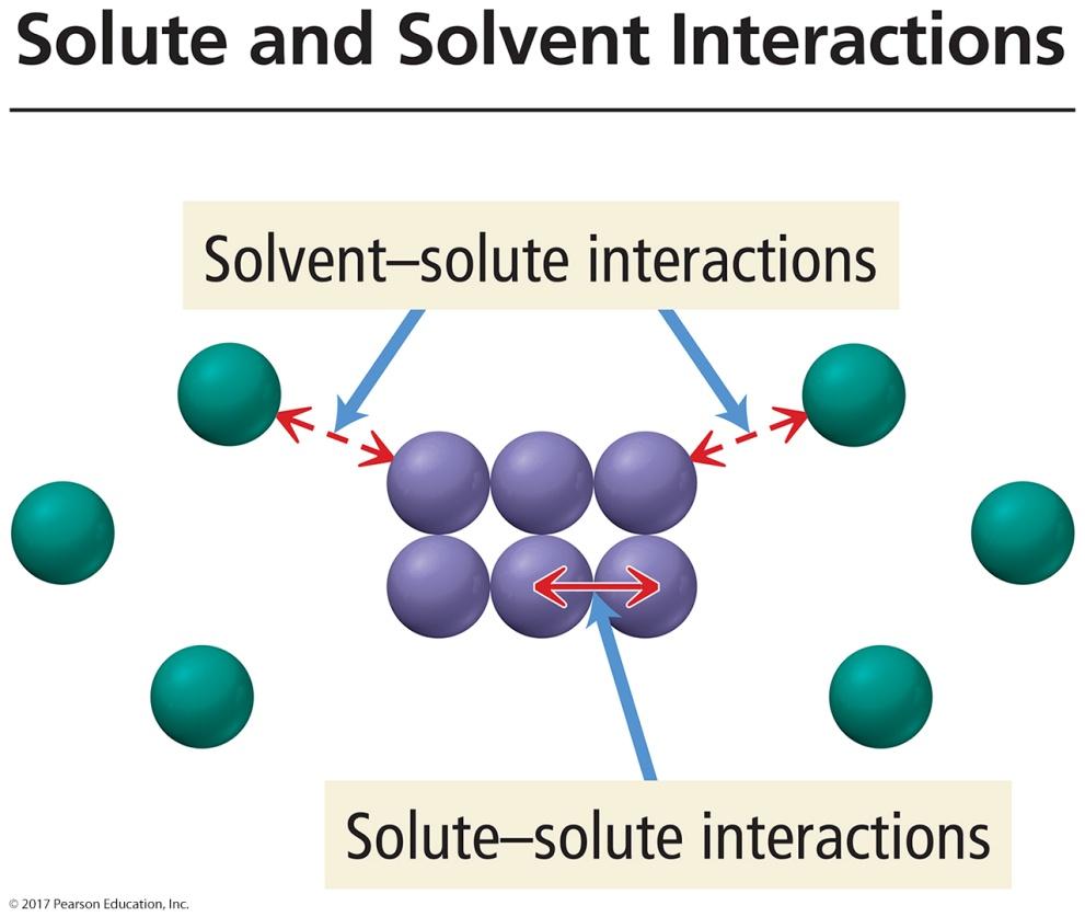 What Happens When a Solute Dissolves? There are attractive forces between the solute particles holding them together.