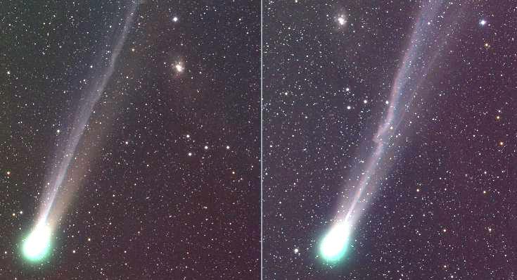 Comet NEAT, kinked tail.