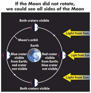 The Moon s rotation always keeps the same face toward the Earth due to synchronous