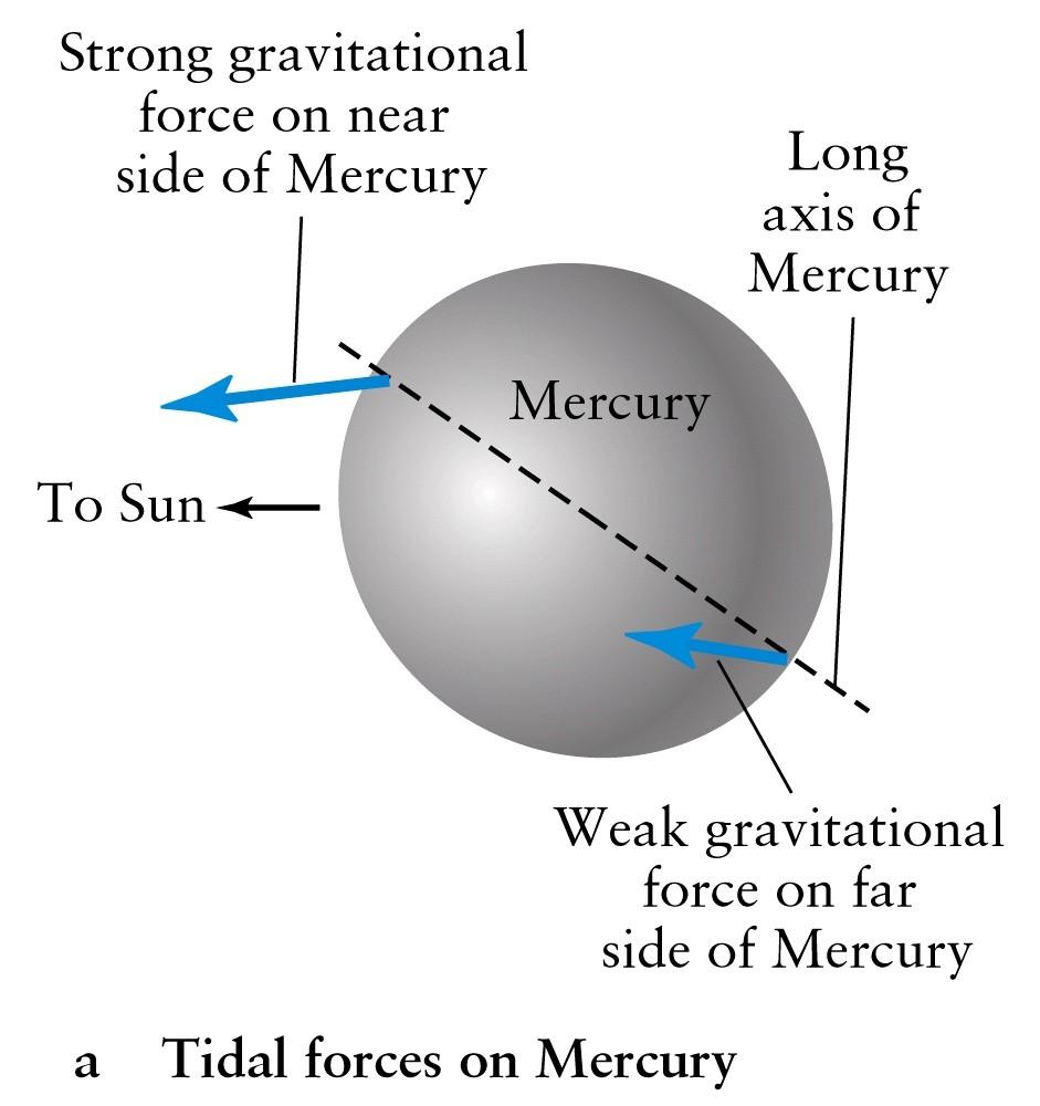 Recall that the Earth's tides have 'locked' the lunar spin by slowing it down. Theory: The same could have happened to Mercury.