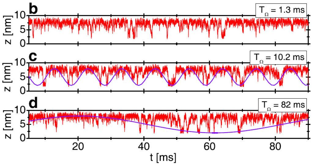 Coherent Transition (SR) in P5GA folding (SOP) Coherent hopping transition under f = 17pN and