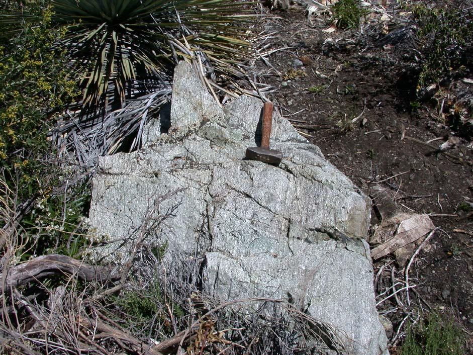 Photo 7. Boulder of mylonitic gneiss that occurs near the Lot #3-Lot#5 boundary.