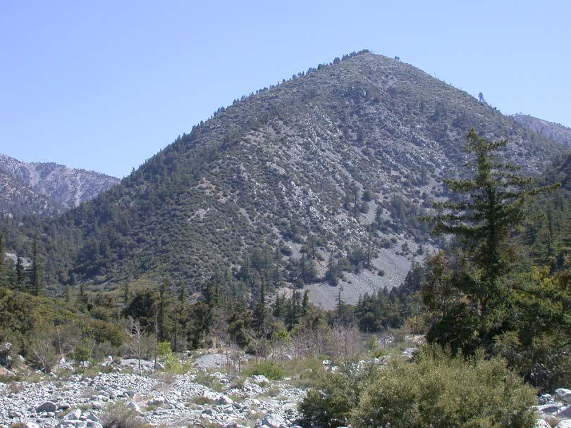 Photo 1. View northeast towards Icehouse Ridge taken from Mt.