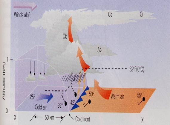 Typical Cold Front Structure Cold air replaces warm; leading edge is steep in fastmoving front shown below due to friction at the ground Strong vertical motion and unstable air forms