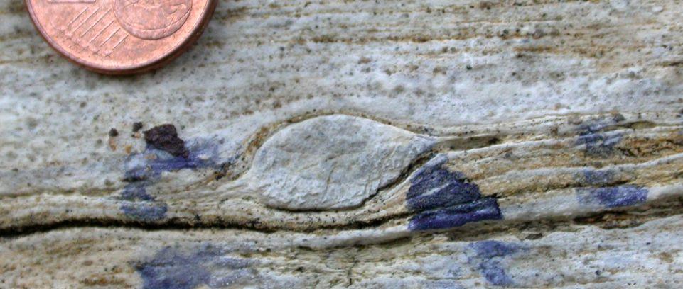 !-type porphyroclast Dextrally sheared limestone, Cap Norfeu, Spain