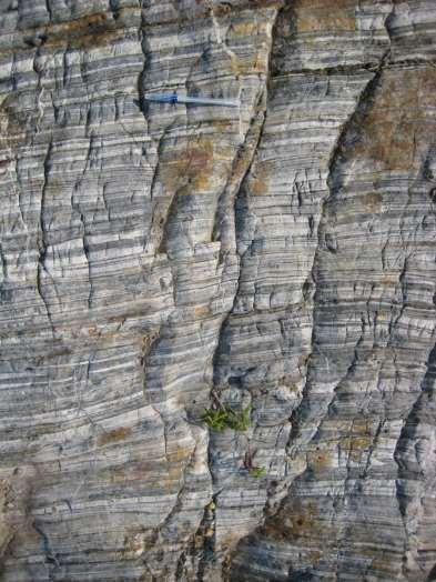 Bedding Bedding is typically a sedimentary feature.