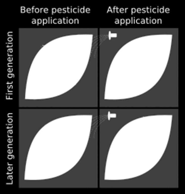 16 of 7 Pesticide Resistance Farmers use pesticides to eliminate insects.