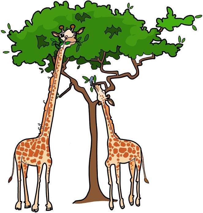 3 of 7 Lamarck s theory of evolution: The Theory of Use/Disuse and Acquired Traits Jean-Baptiste Lamarck (1744-1829) was a French botanist who believed that species evolved because they inherited
