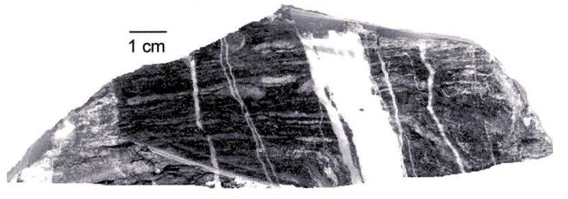 Figure 6. Hand sample of JM-79c, a Colebrooke Schist phyllite.