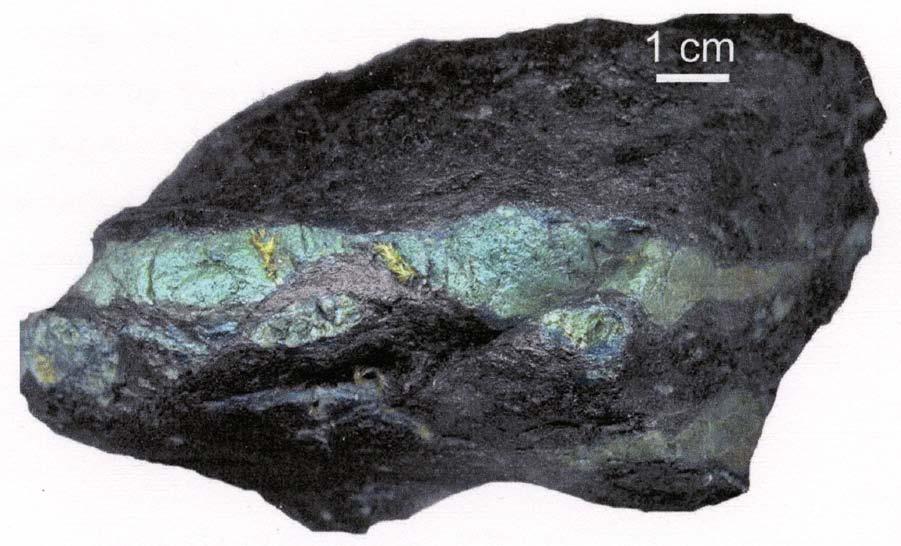 Figure 15. Hand sample from Colebrooke melange outcrop.