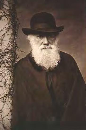 Darwin s postulates require that: 1. Traits vary among individuals within a population 2.