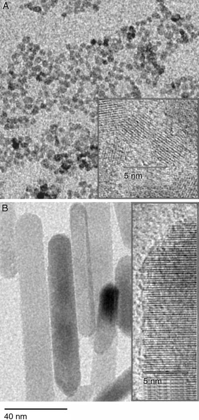 Self-Assembly of (quasi) 0D Nanoparticles