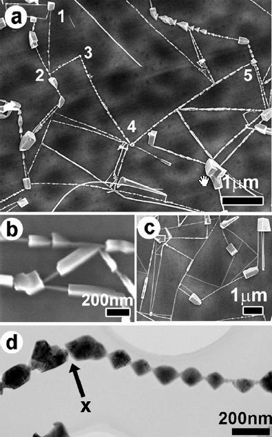 Self-Assembly of (quasi) 0D Nanoparticles Self-Assembled In 2 O 3 Nanocrystal Chains and Nanowire Networks The nanostructures were synthesized by a vapor transport and condensation method