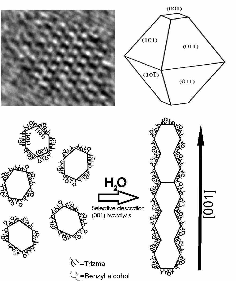 Self-Assembly of (quasi) 0D Nanoparticles Ligand-Directed Assembly of Preformed Titania Nanocrystals into Highly Anisotropic Nanostructures Possible explanation: (001) has the