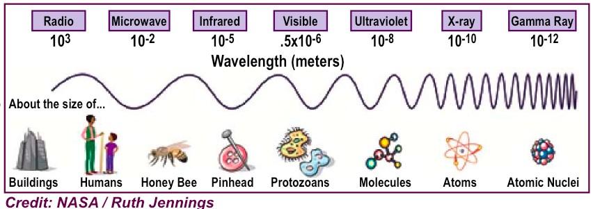The Electromagnetic Spectrum The Many Forms of Light Each type of light carries different information.