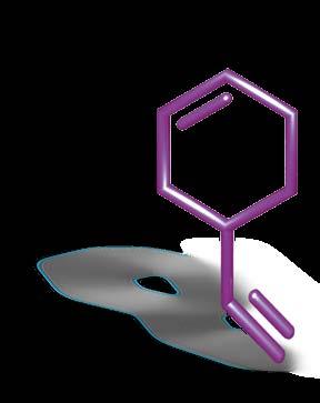 Vinylcyclohexene (VCH) The doubly unsaturated cyclic