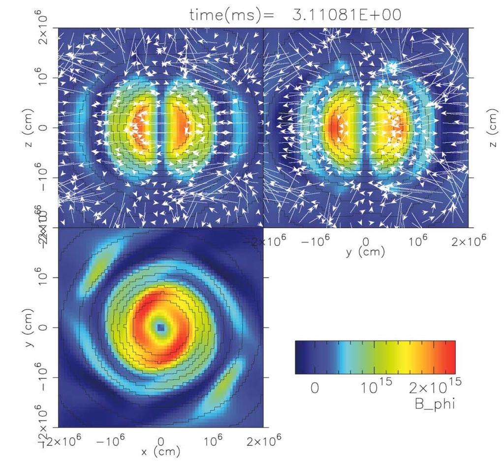 Magnetic Field and ν-interactions Poroidal Pulsar Kick