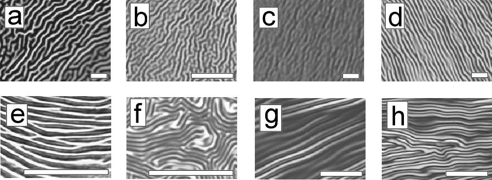 Fig. 3: Optical microscope images obtained for annealed freely-standing trilayer films (a d) and annealed supported films with capping layers (e h).