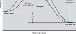 Catalysis A catalyst provides an alternative reaction