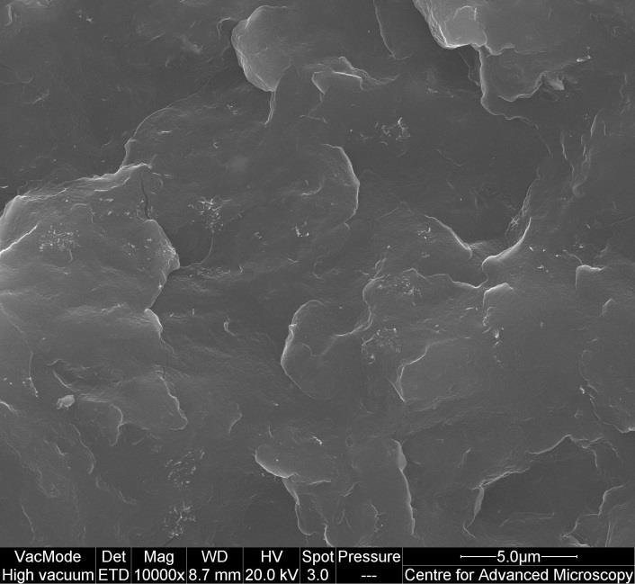 SEM micrographs at magnification 10