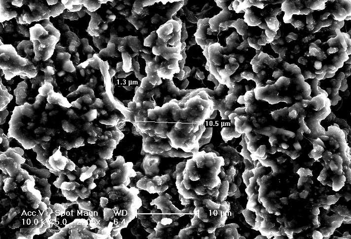 4. SEM of the CNTADH stripe of the CNT film Figure S4. A view of the CNTADH stripe of the CNT film, form by CNTADH clusters.