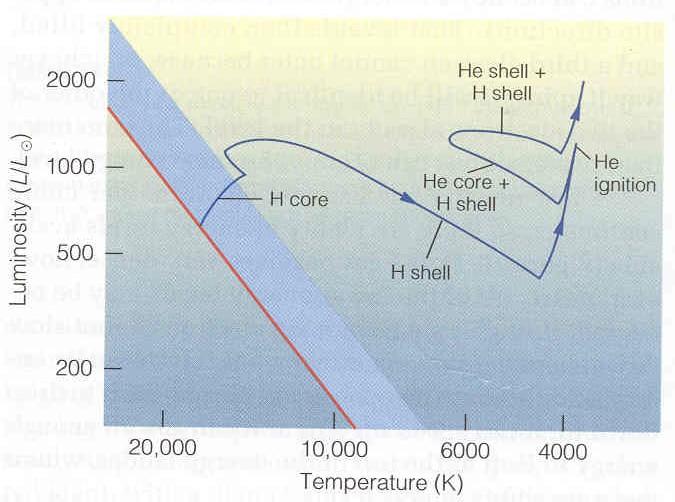 Evolution in the HR Diagram From our text: Horizons, by Seeds During He core, H shell burning Moving some of E generation back into core shrinks size (and so raises T Surface ) Eventually He in core