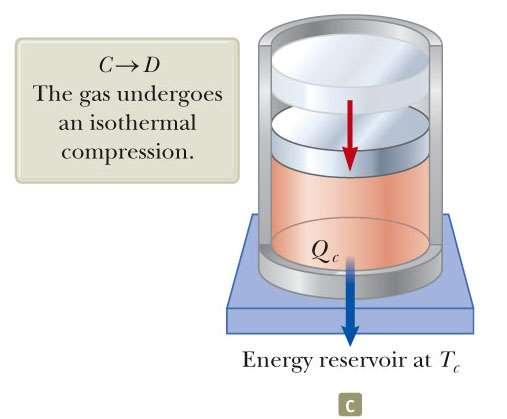 Carnot Cycle, C to D The gas is placed in thermal contact with the cold temperature reservoir.