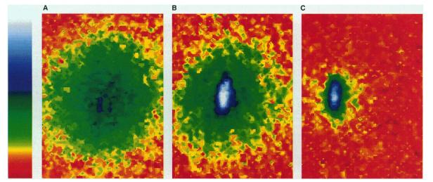 First Image of a BEC False color images of the velocity distribution of a cloud of Rb 87 atoms near T C = 170 nk.