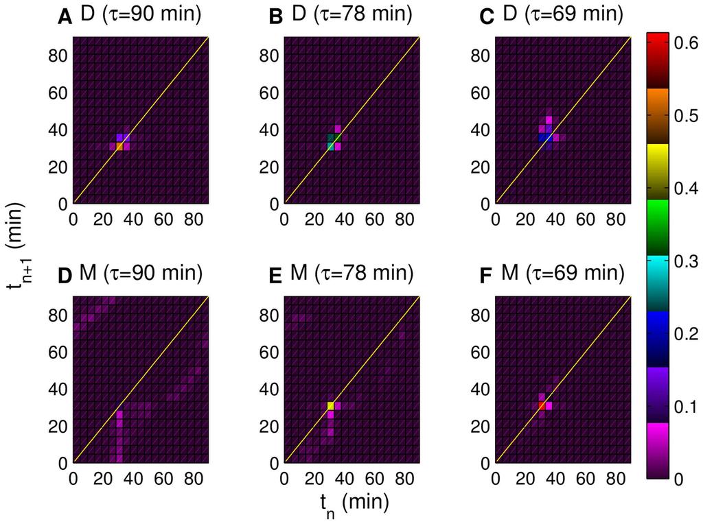 Figure 5. Simulated return maps for successive mother and daughter cells. Forced CLN2 expression periods are 90 min in (A) and (D), 78 min in (B) and (E) and 69 min in (C) and (F).